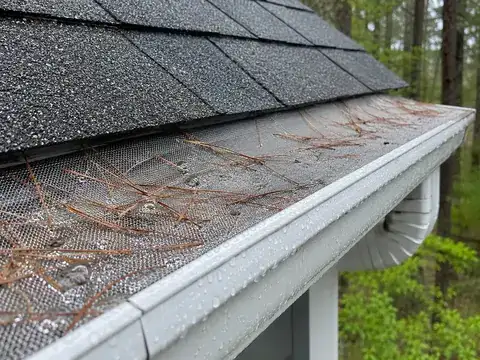 Illustration of gutter guards service